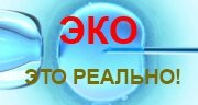 ЭКО ЭКО